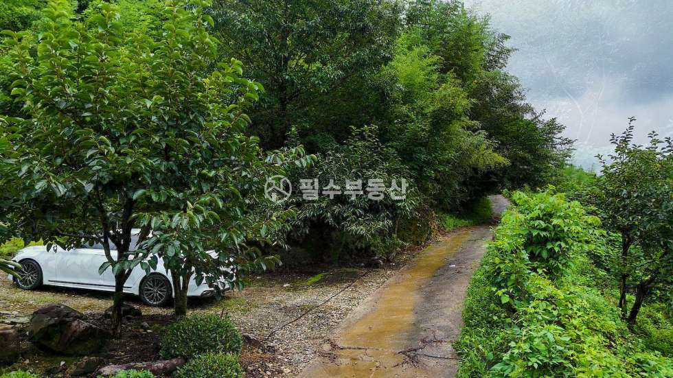 경남 산청군 시천면 동당리 산청 계곡이 끼고 돌고 있는 프라이빗함의 끝판왕 토지가 떴습니다! 산청 시천면 동당리 토지 매매 매매 매물번호 10573 사진 14