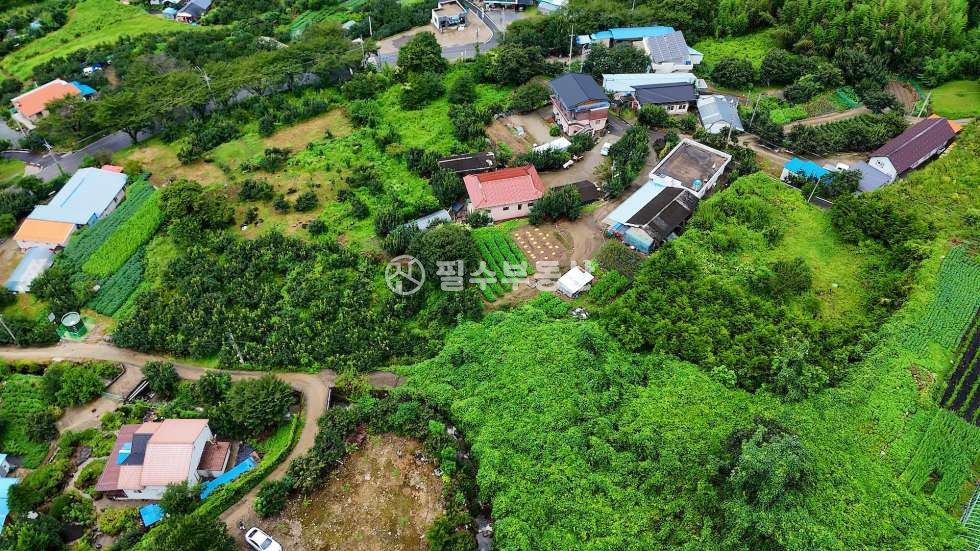경남 산청군 시천면 동당리 산청 계곡이 끼고 돌고 있는 프라이빗함의 끝판왕 토지가 떴습니다! 산청 시천면 동당리 토지 매매 매매 매물번호 10573 사진 16