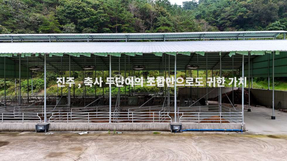 경남 진주시 일반성면 남산리 진주에서 30분거리인 관내에 위치한 요즘 민원때문에 인허가 받기가 하늘에 별따기 만큼 힘든 신축 축사 !진주축사매매 매매 매물번호 10592 사진 10