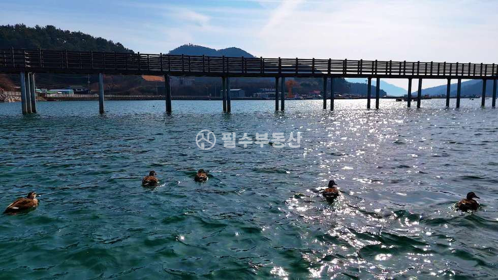 경남 고성군 하일면 동화리 남해 바다를 내려다보며 주변 테마들까지 부족함이 없는 땅! 고성 어촌뉴딜정책으로 핫이슈를 몰고온 땅! 고성 하일면 동화리 토지매매 ! 고성토지매매! 매매 매물번호 10633 사진 2