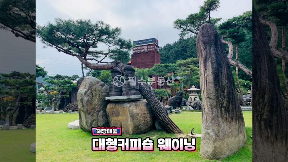 경남 진주시 문산읍 상문리 약6000평 과수원이 가격 저렴하게 잘 나왔습니다 농사에 필요한 집기류부터 관리동까지 전부 일괄 매매 드리는 토지 매매! 진주문산상문리 감나무과수원 매매 진주과수원매매 진주토지매매 매매 매물번호 10635 사진 13
