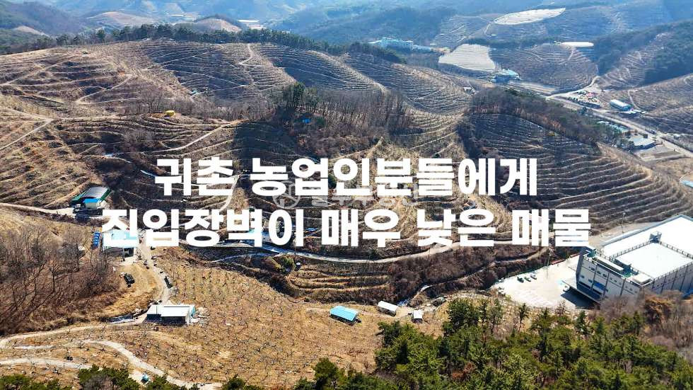 경남 진주시 문산읍 상문리 약6000평 과수원이 가격 저렴하게 잘 나왔습니다 농사에 필요한 집기류부터 관리동까지 전부 일괄 매매 드리는 토지 매매! 진주문산상문리 감나무과수원 매매 진주과수원매매 진주토지매매 매매 매물번호 10635 사진 57