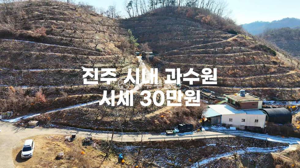 경남 진주시 문산읍 상문리 약6000평 과수원이 가격 저렴하게 잘 나왔습니다 농사에 필요한 집기류부터 관리동까지 전부 일괄 매매 드리는 토지 매매! 진주문산상문리 감나무과수원 매매 진주과수원매매 진주토지매매 매매 매물번호 10635 사진 59