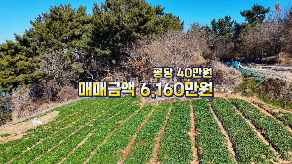 경남 남해군 고현면 갈화리 영구 바다조망권을 가진 투자성 곁들인 소형 #남해고현면갈화리토지 매매 매물번호 10725 사진 38