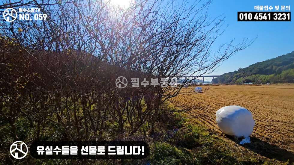 경남 진주시 정촌면 관봉리 진주 정촌면 관봉리 토지 매매 도로접한 유실수는 덤으로 드리는 파격적인 가격의 매물 놓치지마세요 매매 매물번호 10255 사진 17