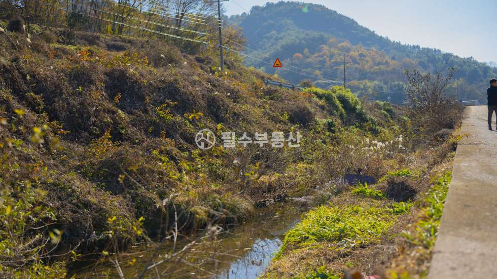 경남 진주시 정촌면 관봉리 진주 정촌면 관봉리 토지 매매 도로접한 유실수는 덤으로 드리는 파격적인 가격의 매물 놓치지마세요 매매 매물번호 10255 사진 35