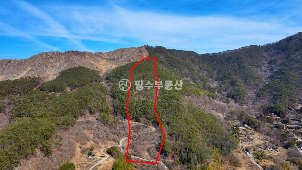경남 하동군 하동읍 흥룡리 하동 구재봉활공장 아래 평당 5000원대의 미친 가격의 임야 매매 - 하동읍 흥룡리 임야 매매 매매 매물번호 10465 사진 18