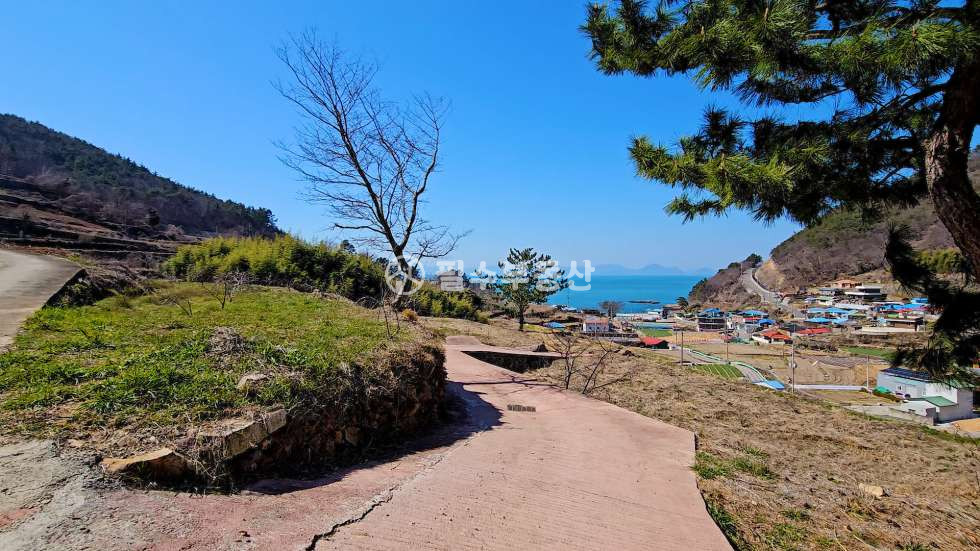 경남 남해군 상주면 양아리 남해군 상주면 양아리 토지 매매 -이보게 풍수지리사 양반 4700만원 이 땅이 왕이 될 상인가? 절대 권력의 토지 매매 매물번호 10471 사진 3