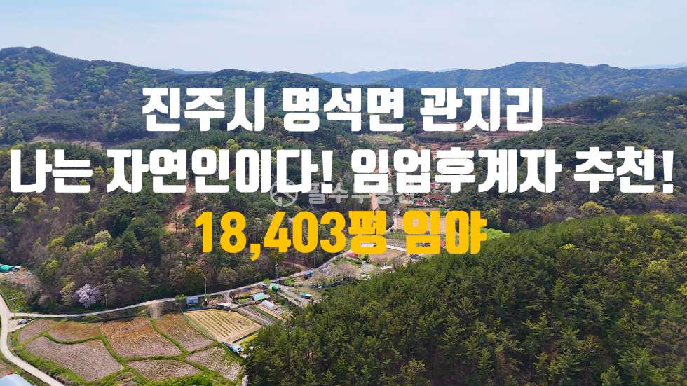 경남 진주시 명석면 관지리 나는 자연인이다! 임업후계자 추천 토지! 2만평 대형 임야 / 진주시 명석면 관지리 임야 매매 매매 매물번호 10493 사진 1