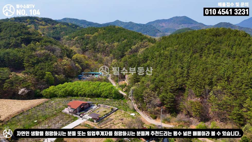 경남 진주시 명석면 관지리 나는 자연인이다! 임업후계자 추천 토지! 2만평 대형 임야 / 진주시 명석면 관지리 임야 매매 매매 매물번호 10493 사진 8
