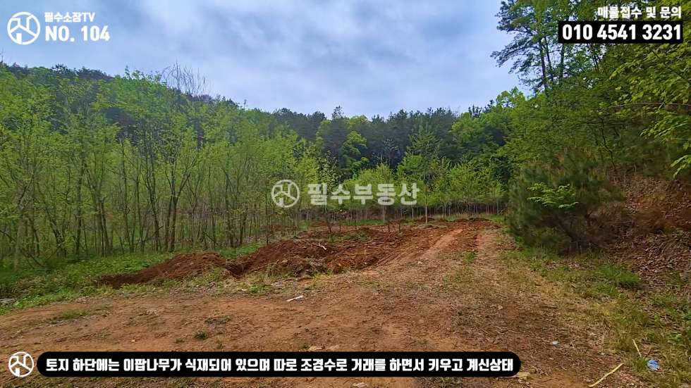 경남 진주시 명석면 관지리 나는 자연인이다! 임업후계자 추천 토지! 2만평 대형 임야 / 진주시 명석면 관지리 임야 매매 매매 매물번호 10493 사진 17