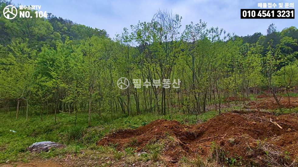 경남 진주시 명석면 관지리 나는 자연인이다! 임업후계자 추천 토지! 2만평 대형 임야 / 진주시 명석면 관지리 임야 매매 매매 매물번호 10493 사진 18