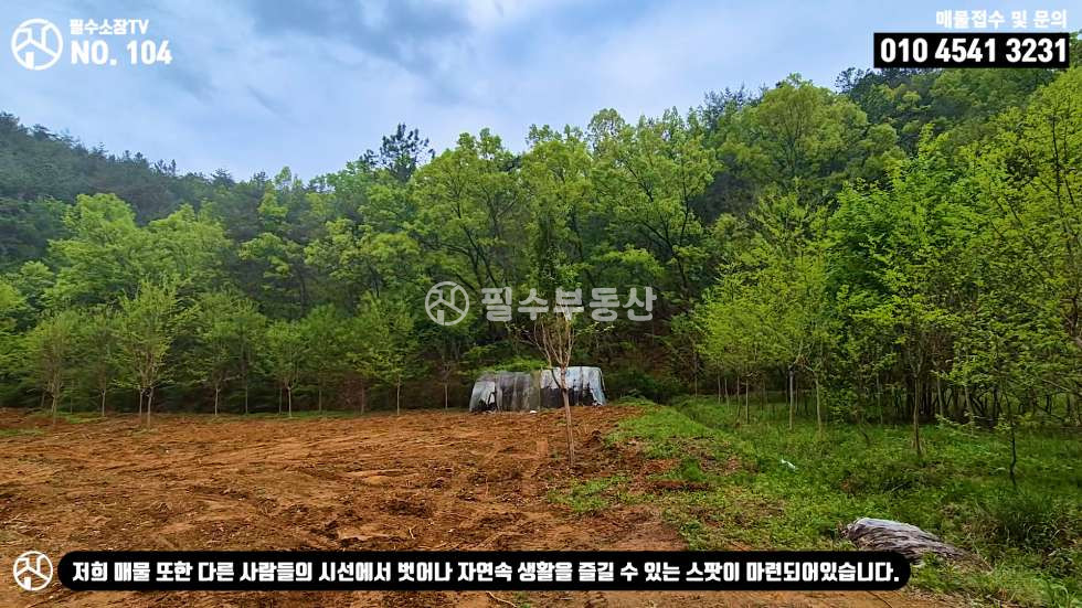 경남 진주시 명석면 관지리 나는 자연인이다! 임업후계자 추천 토지! 2만평 대형 임야 / 진주시 명석면 관지리 임야 매매 매매 매물번호 10493 사진 21