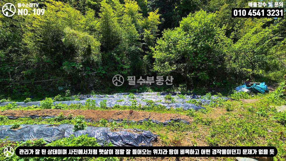 경남 남해군 삼동면 동천리 1동 일타삼피의 남해촌집 매매 - 본채 아래채 텃밭을 촌집하나의 가격으로 찾아왔습니다! 남해군 삼동면 동천리 촌집 매매 매매 매물번호 10522 사진 59