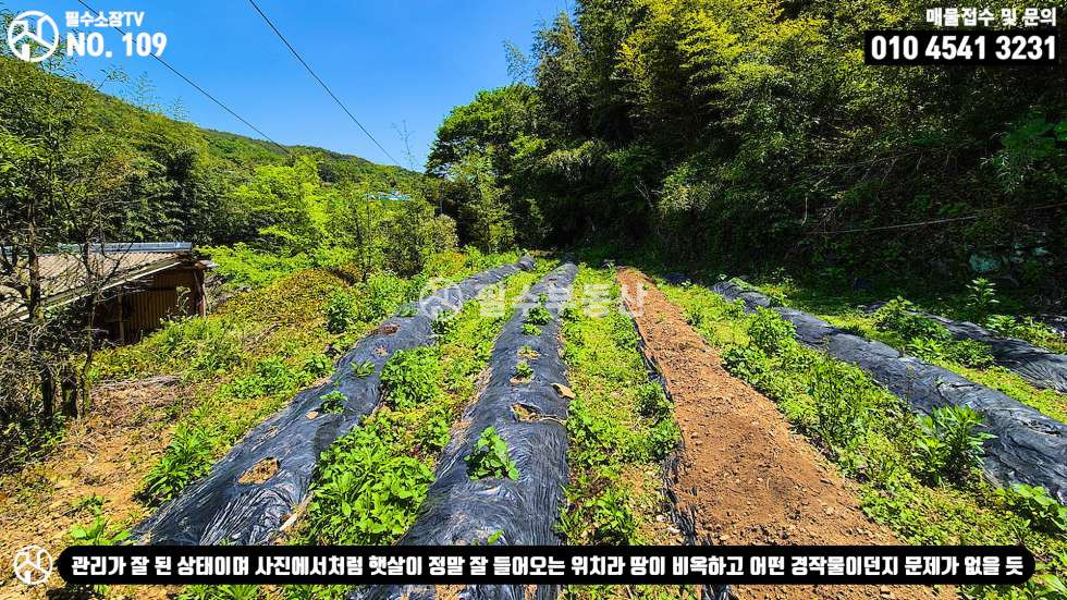 경남 남해군 삼동면 동천리 1동 일타삼피의 남해촌집 매매 - 본채 아래채 텃밭을 촌집하나의 가격으로 찾아왔습니다! 남해군 삼동면 동천리 촌집 매매 매매 매물번호 10522 사진 60